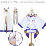 10pcs/Set Emilia Dress Re Zero Cosplay Sets  Wig Women Cosplay Dress Emilia Cosplay costume Anime Cosplay Party Halloween Party